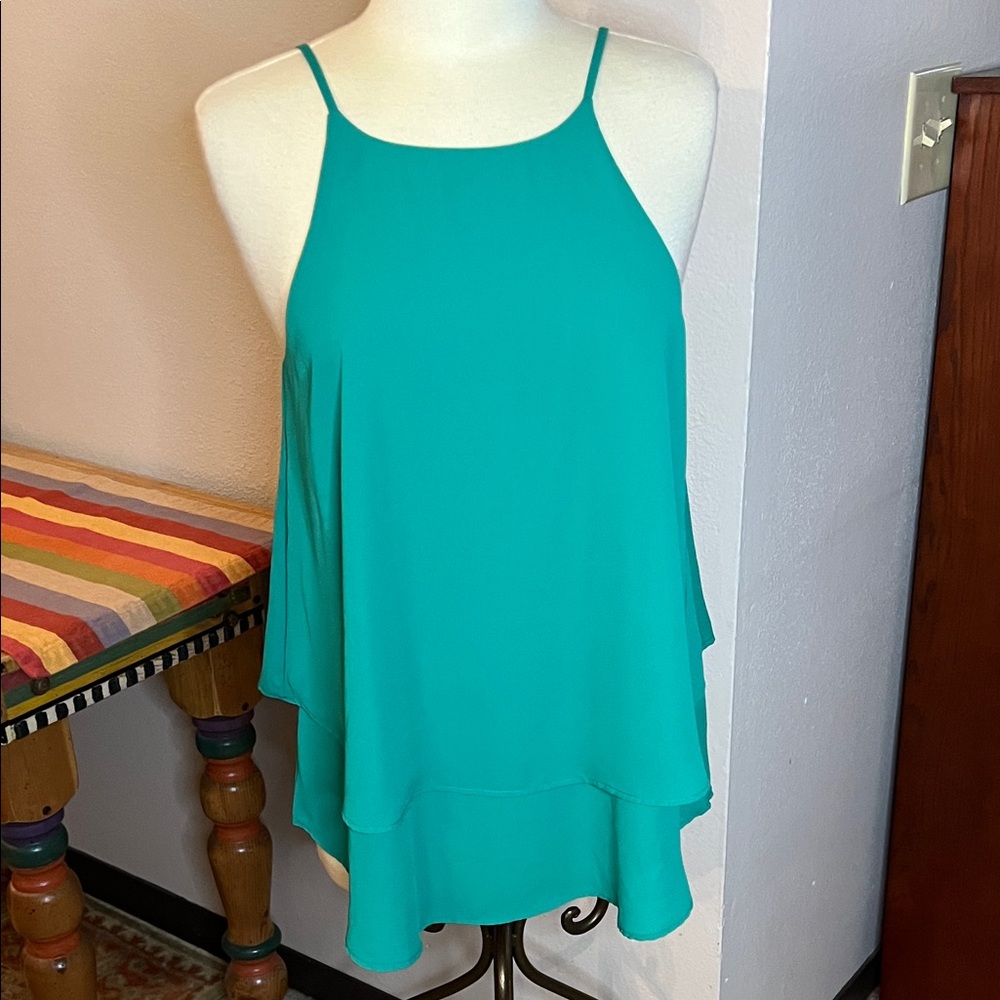 Emmelee for F.C. Aqua Layered Camisole
